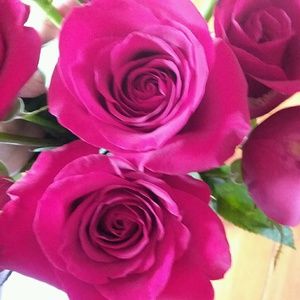 Meet your Posher, Wendy